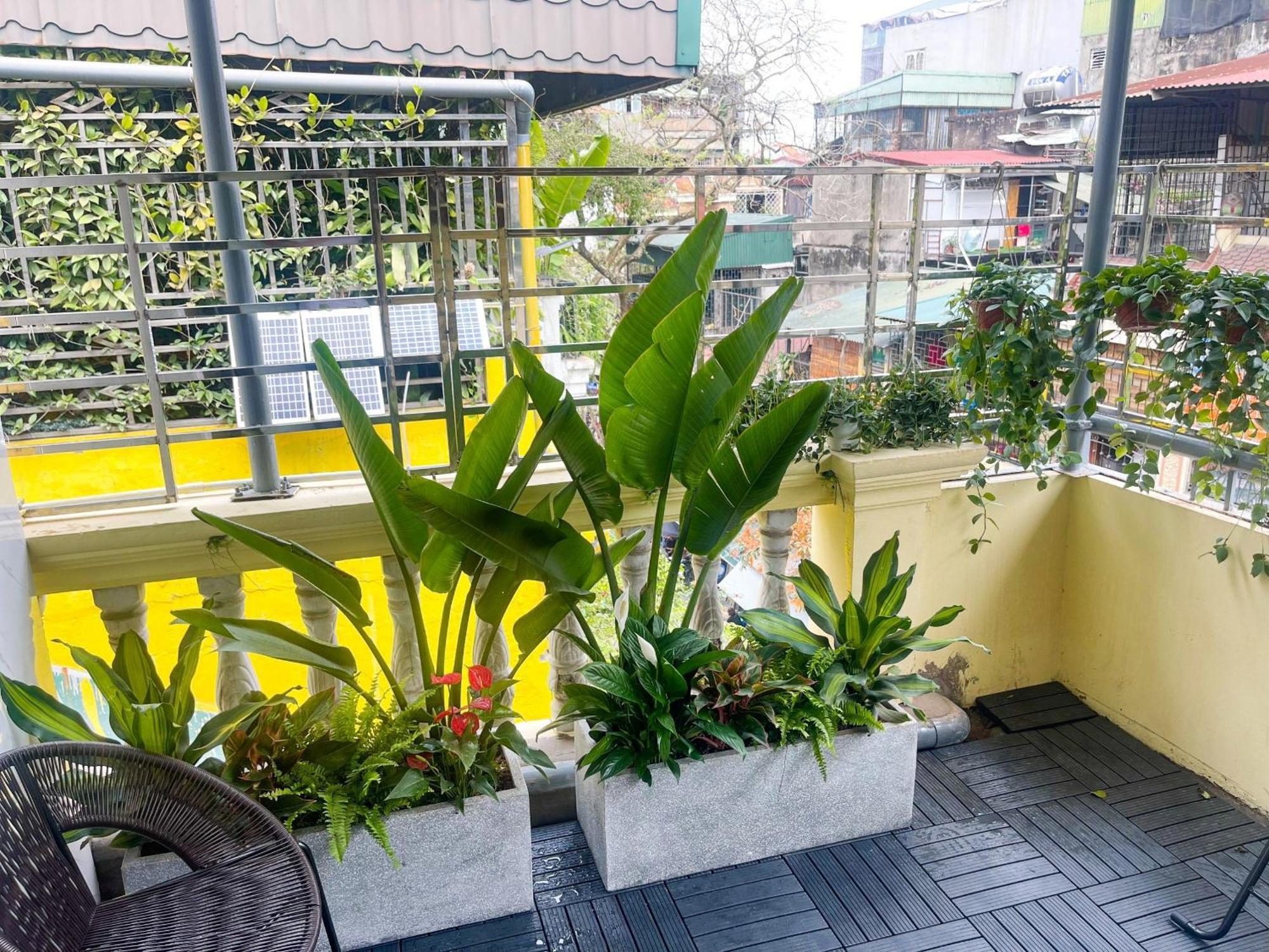 Ở trọ Sunny Garden Balcony In Old Quarter, Free Laundry, Free Water *